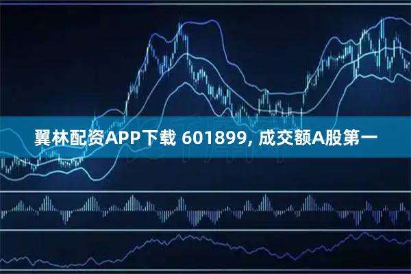翼林配资APP下载 601899, 成交额A股第一