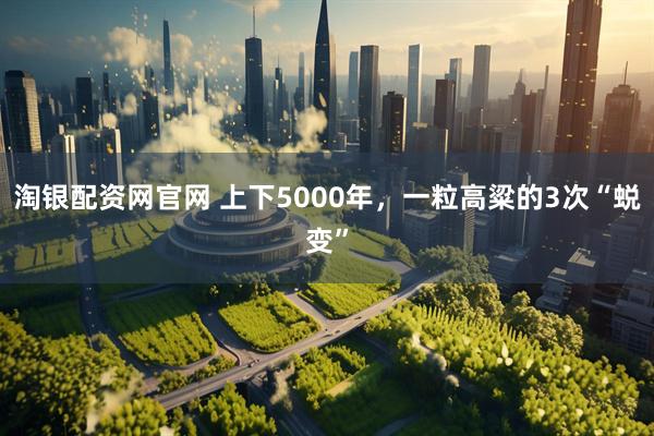 淘银配资网官网 上下5000年，一粒高粱的3次“蜕变”